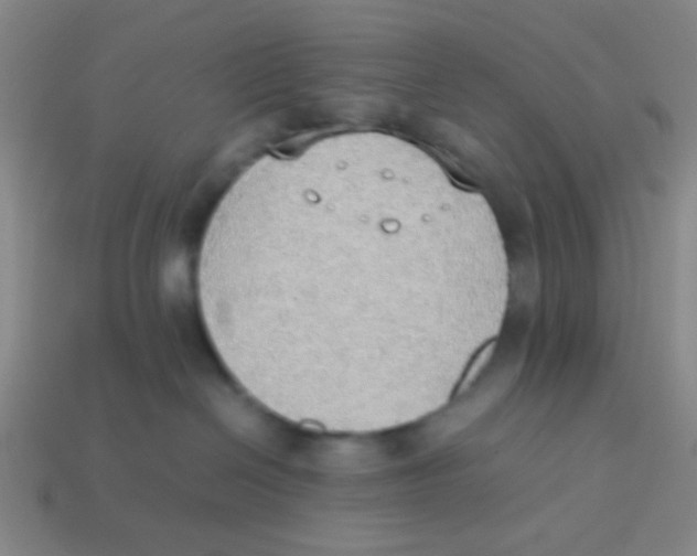 X0000113780286200910211212