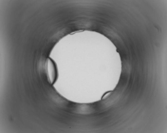 X0000113780287200910211212