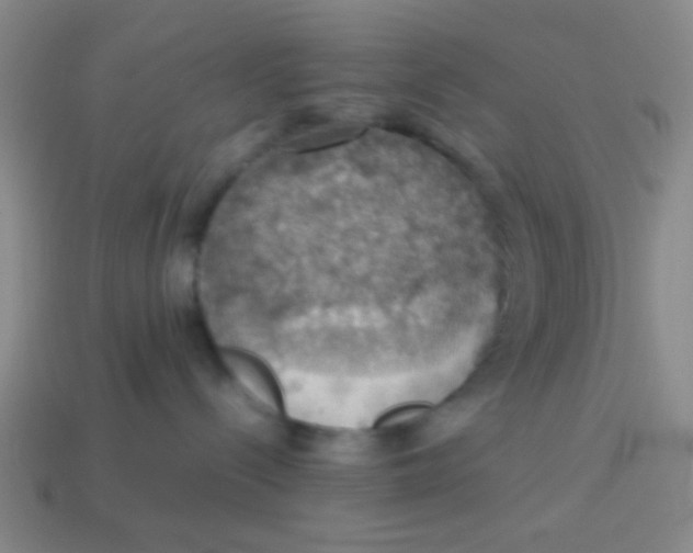 X0000113780288200910211212
