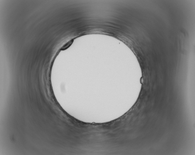 X0000113780289200910211212
