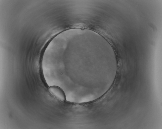X0000113780290200910211212