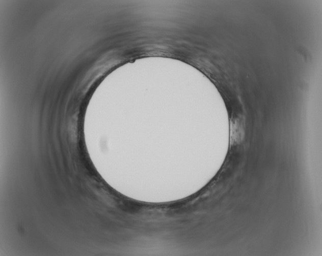 X0000113780291200910211211