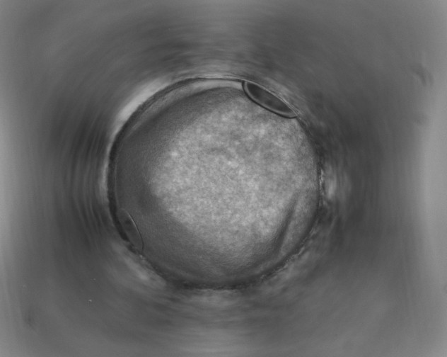 X0000113780292200910211211