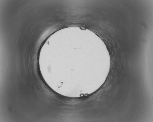X0000113780293200910211211