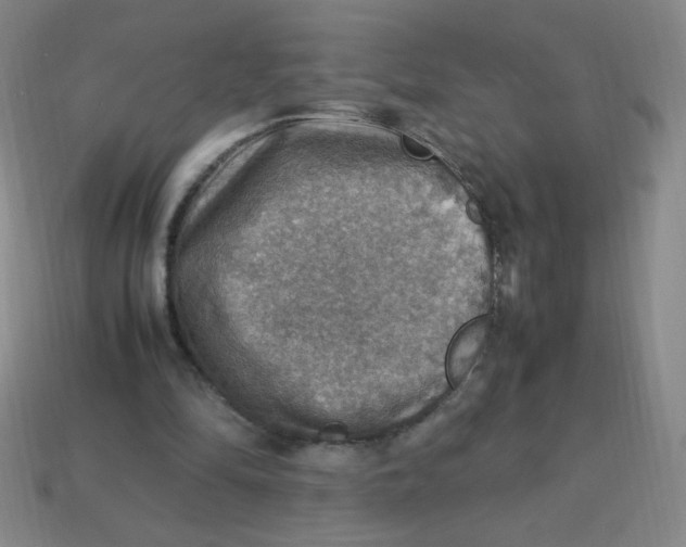 X0000113780294200910211211