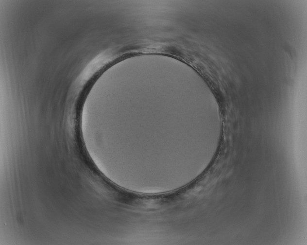 X0000113780295200910211211