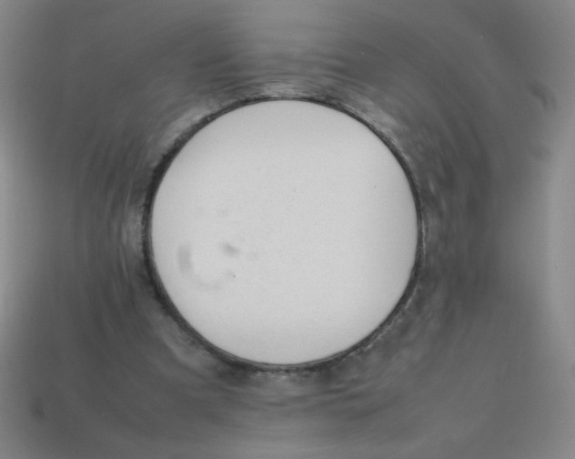 X0000113780297200910211211