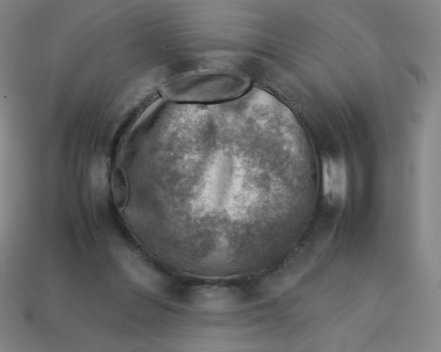 X0000113780300200910211211