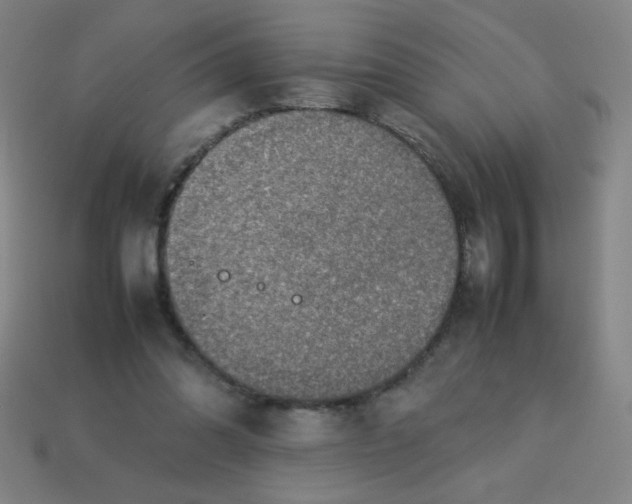 X0000113780302200910211211