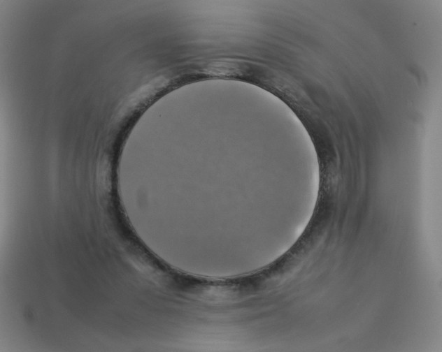 X0000113780303200910211211