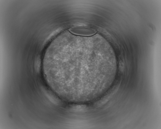 X0000113780304200910211211