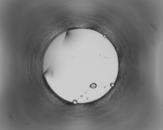 X0000113780305200910211211