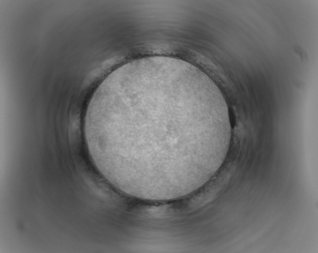 X0000113780306200910211211