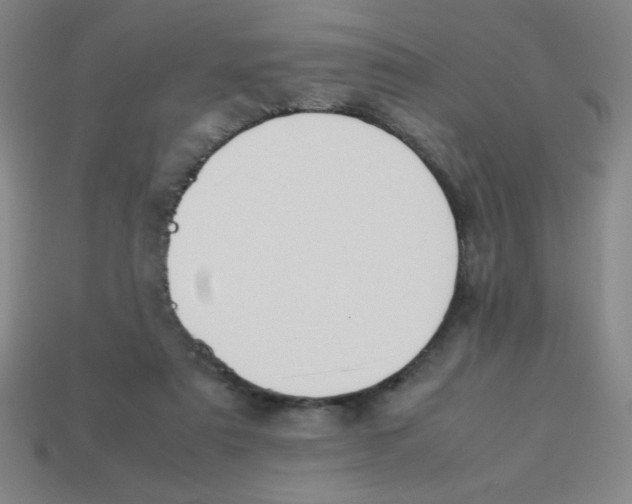 X0000113780307200910211211