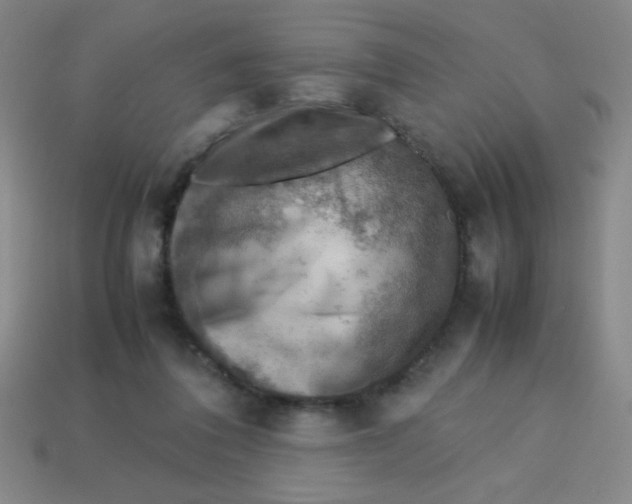 X0000113780308200910211211