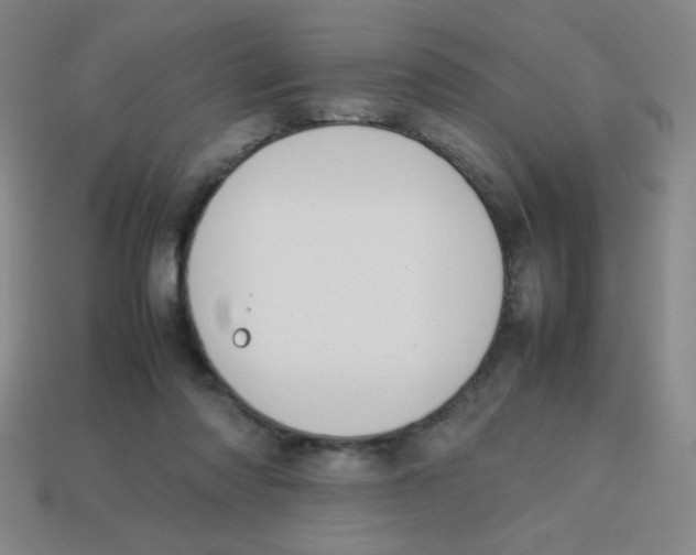 X0000113780310200910211211
