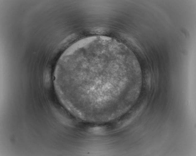 X0000113780312200910211211