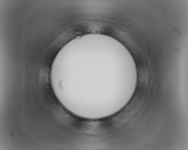 X0000113780313200910211211