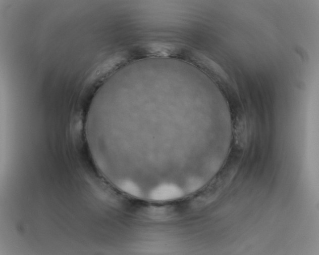 X0000113780314200910211211