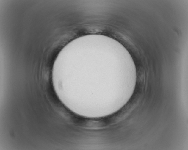 X0000113780315200910211211