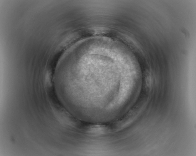 X0000113780316200910211211