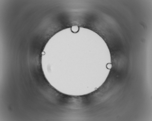 X0000113780317200910211211