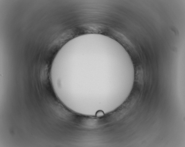 X0000113780318200910211211