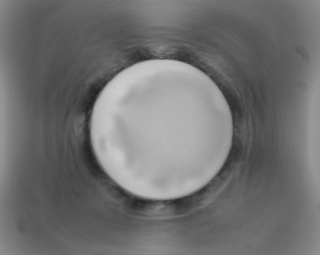 X0000113780319200910211211