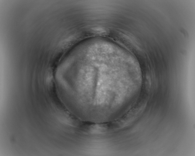 X0000113780320200910211211