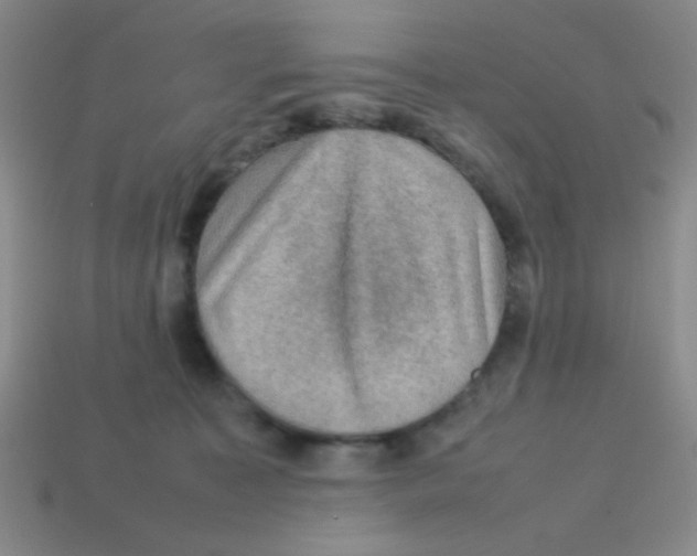 X0000113780323200910211211