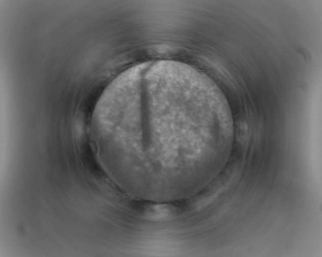 X0000113780324200910211211