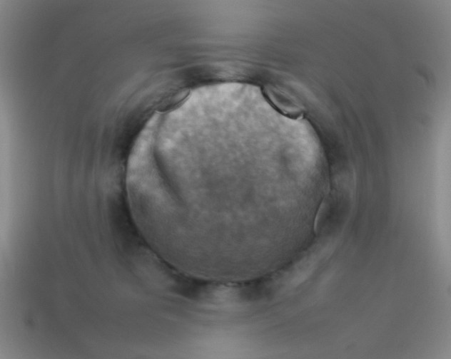 X0000113780325200910211211