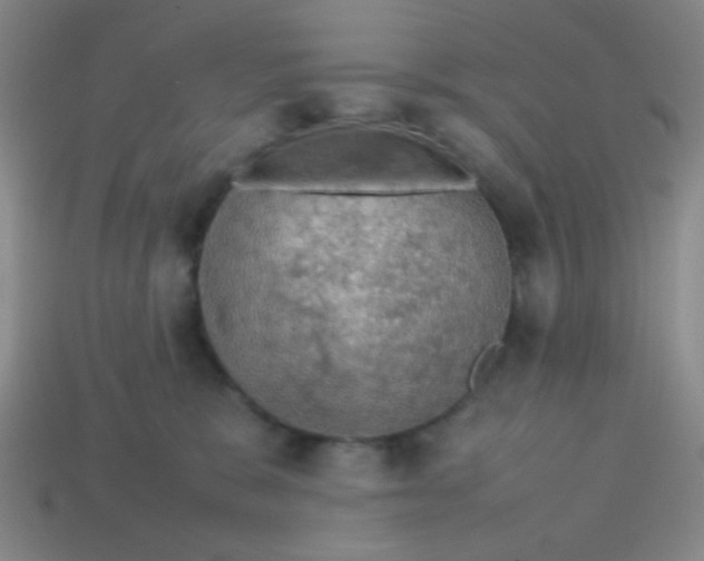 X0000113780327200910211211