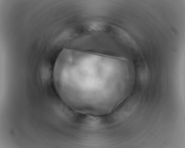 X0000113780328200910211211