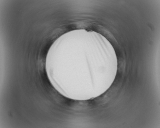 X0000113780329200910211211