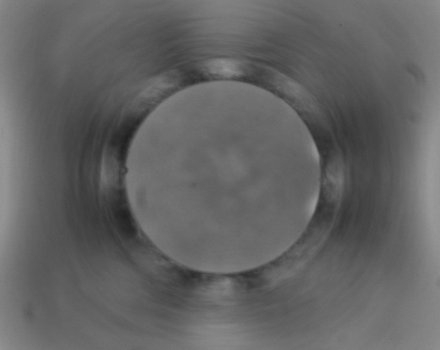 X0000113780330200910211211
