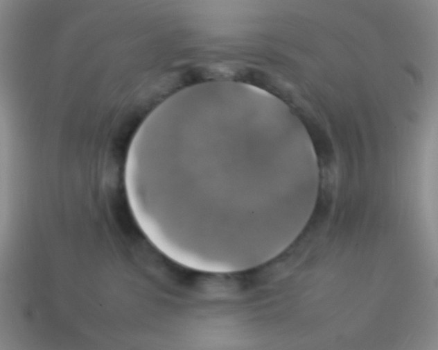 X0000113780331200910211211