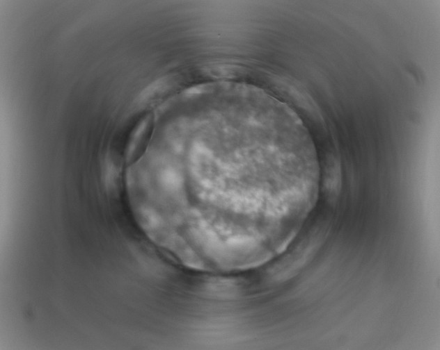 X0000113780332200910211211