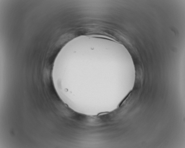 X0000113780333200910211211