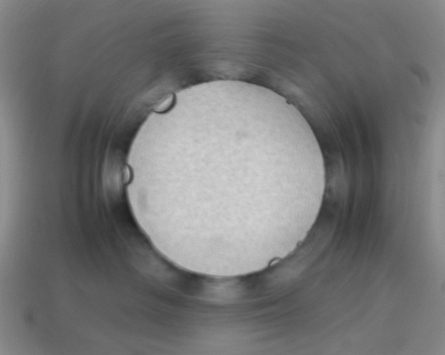 X0000113780334200910211211