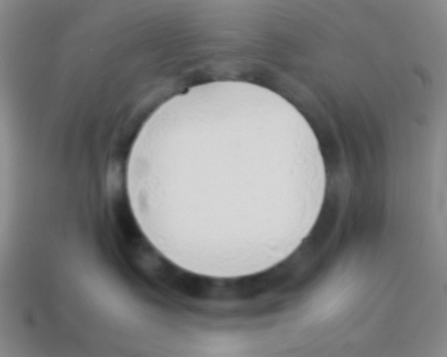 X0000113780335200910211211