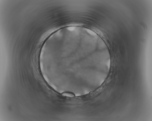 X0000113780337200910211210