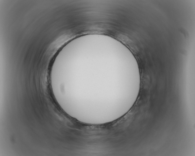 X0000113780338200910211210