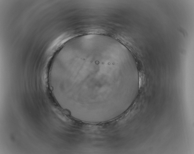 X0000113780339200910211210