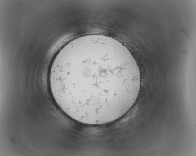 X0000113780341200910211210