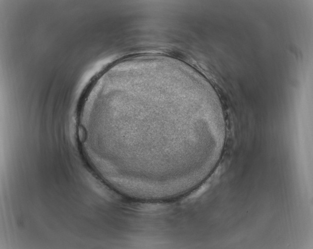 X0000113780342200910211210