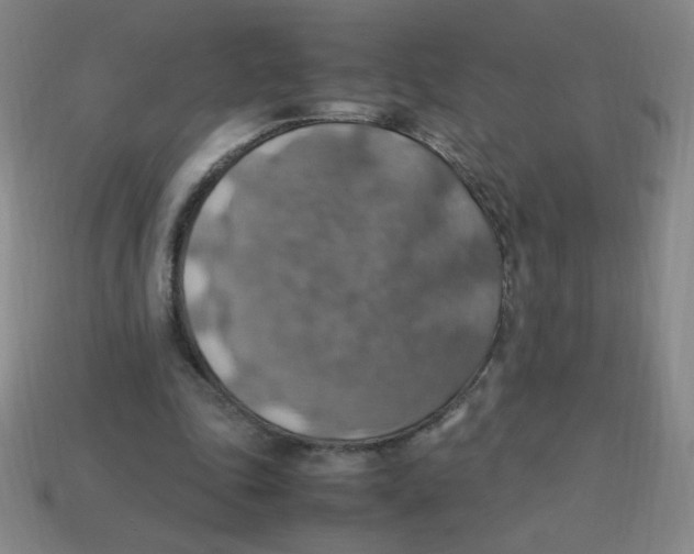 X0000113780343200910211210