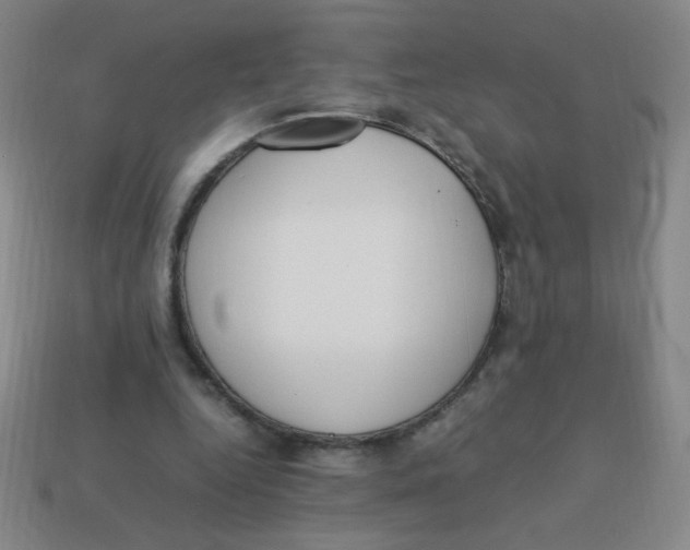 X0000113780344200910211210