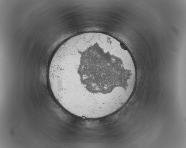 X0000113780345200910211210