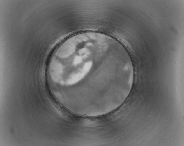 X0000113780346200910211210